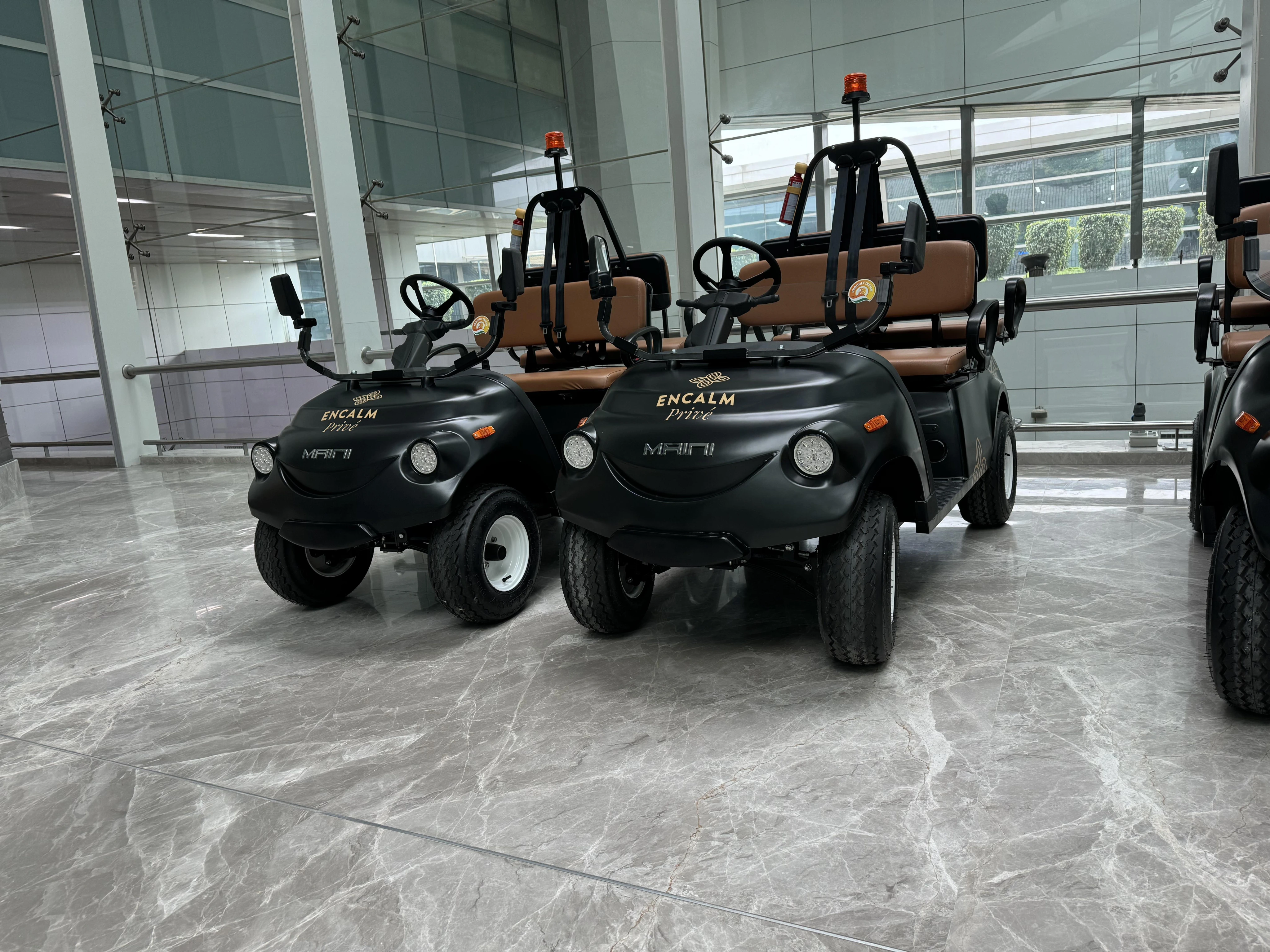 How To Avail Buggy Service